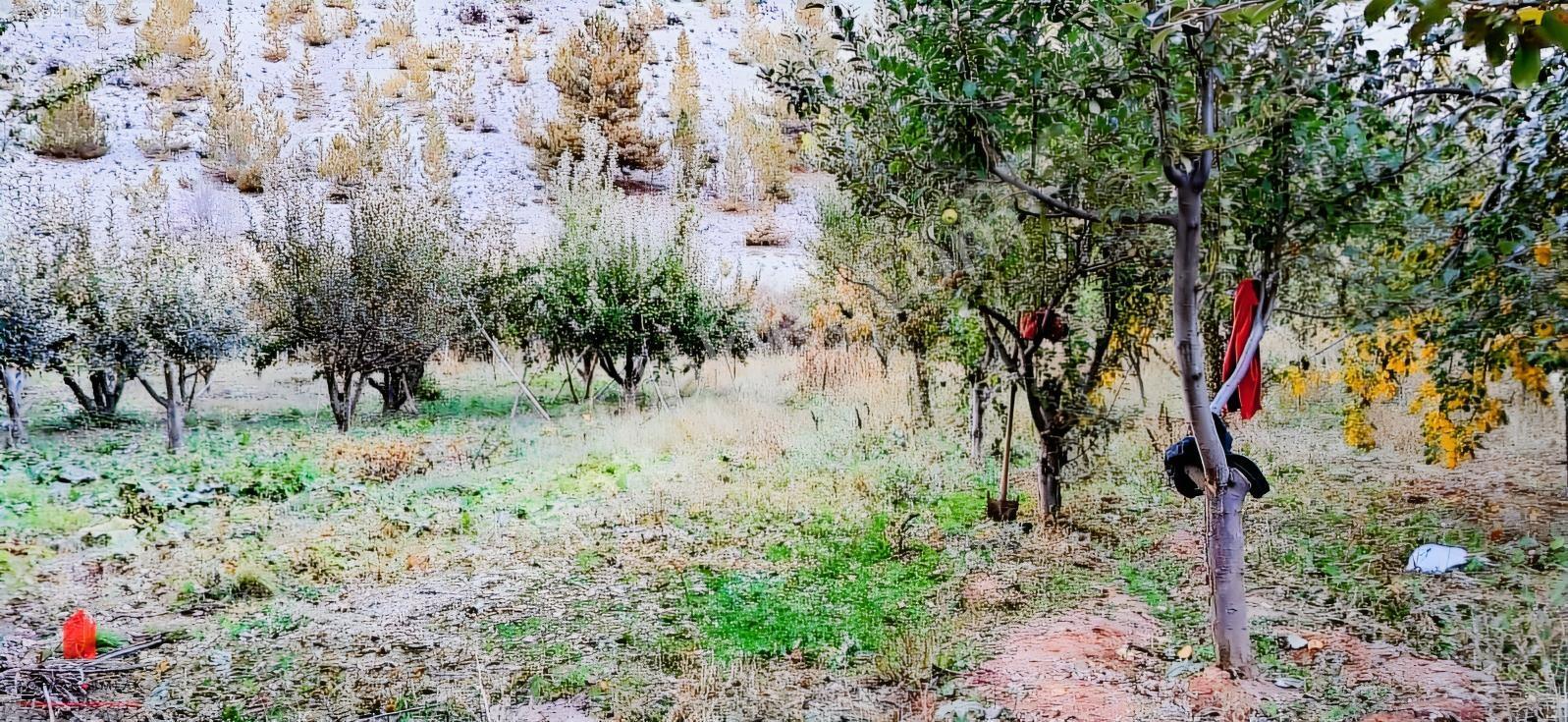 Başarakavak'ta Dere Kenarı 1120m2 Satılık Meyve Bahçesi — fotoğraf 11