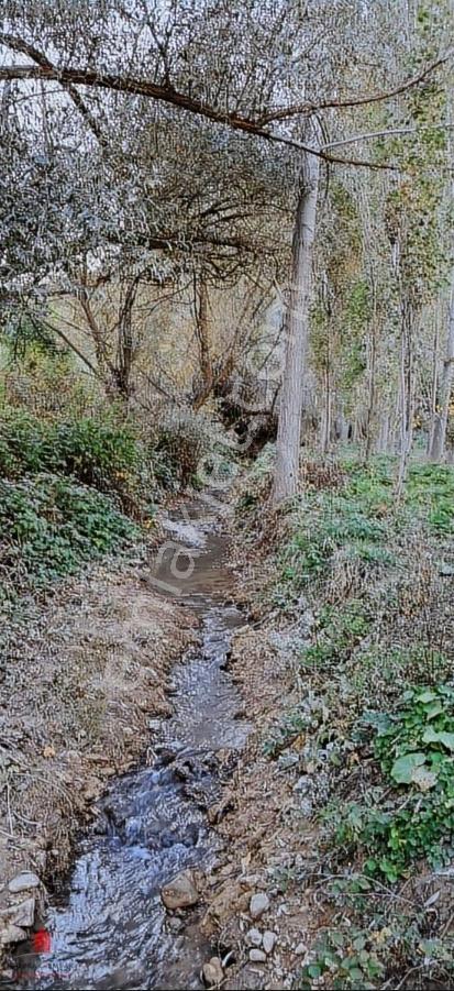 Başarakavak'ta Dere Kenarı 1120m2 Satılık Meyve Bahçesi — fotoğraf 12