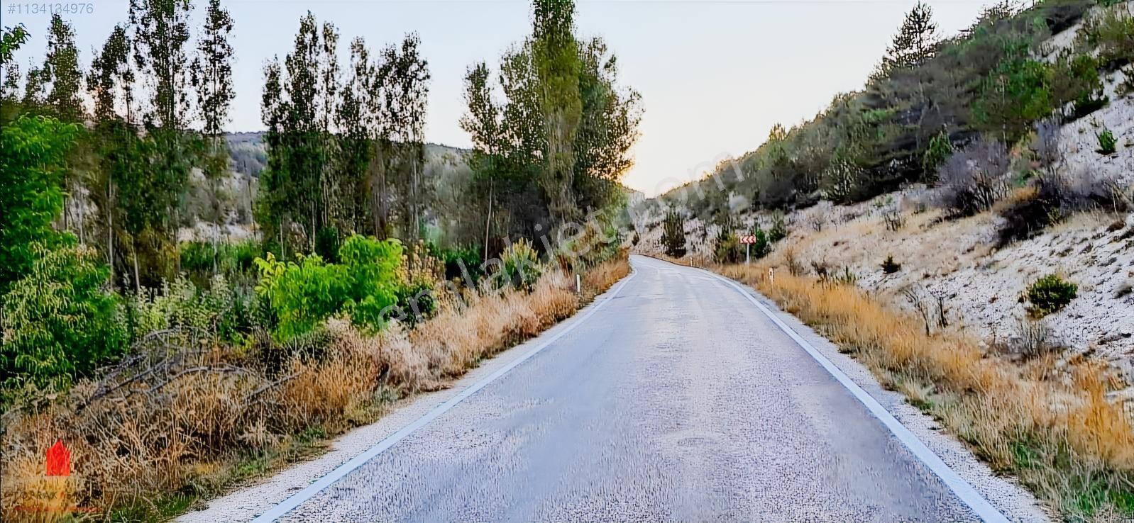 Başarakavak'ta Dere Kenarı 1120m2 Satılık Meyve Bahçesi — fotoğraf 13