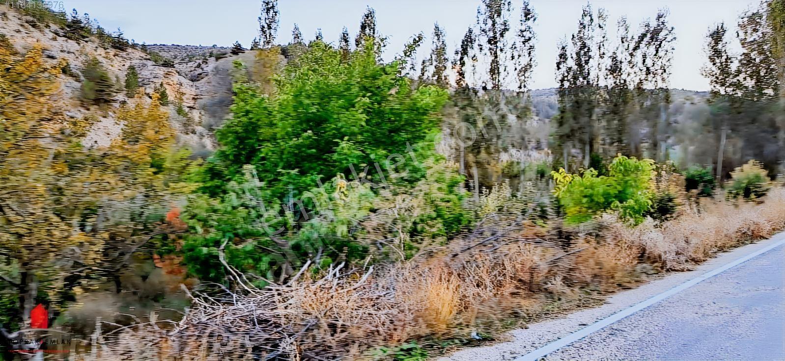 Başarakavak'ta Dere Kenarı 1120m2 Satılık Meyve Bahçesi — fotoğraf 14