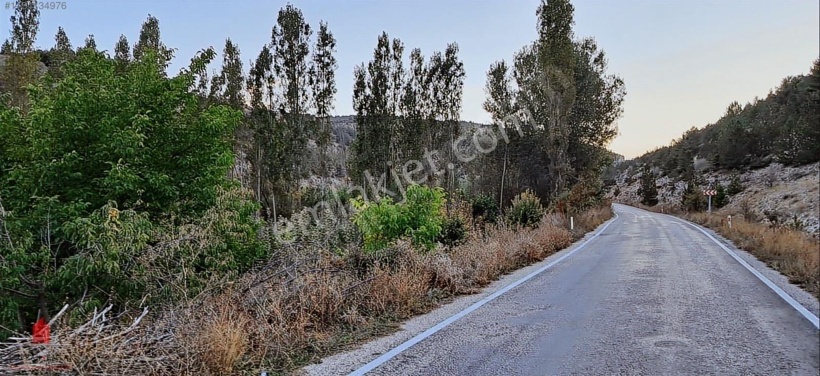 Başarakavak'ta Dere Kenarı 1120m2 Satılık Meyve Bahçesi — fotoğraf 16