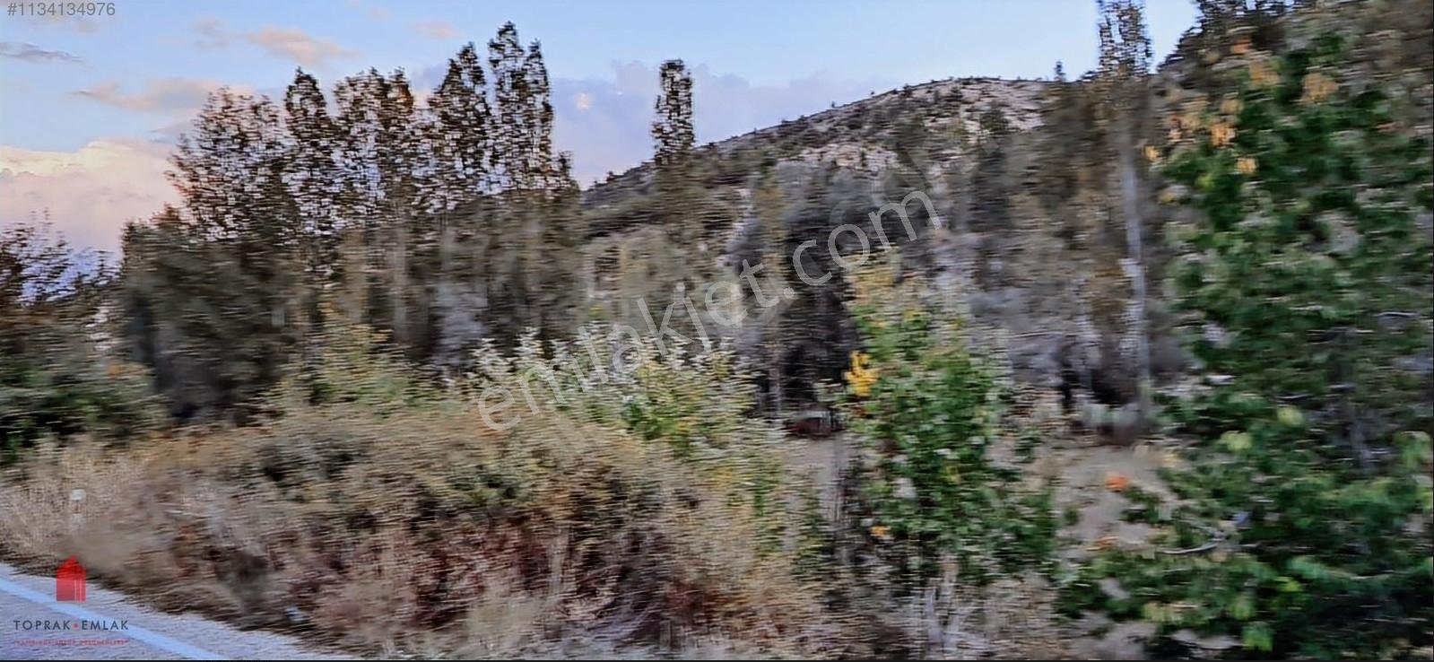 Başarakavak'ta Dere Kenarı 1120m2 Satılık Meyve Bahçesi — fotoğraf 18