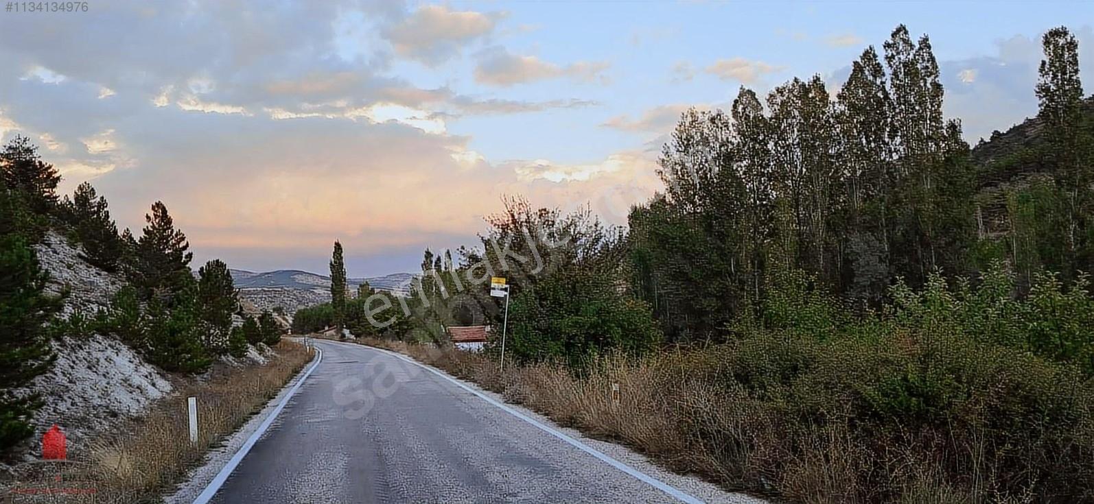 Başarakavak'ta Dere Kenarı 1120m2 Satılık Meyve Bahçesi — fotoğraf 19