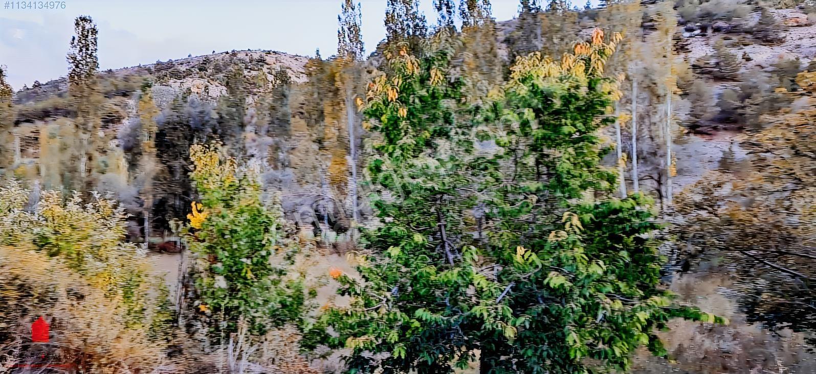 Başarakavak'ta Dere Kenarı 1120m2 Satılık Meyve Bahçesi — fotoğraf 20