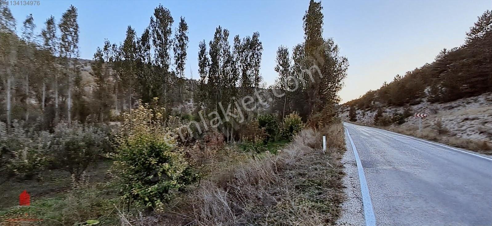 Başarakavak'ta Dere Kenarı 1120m2 Satılık Meyve Bahçesi — fotoğraf 21