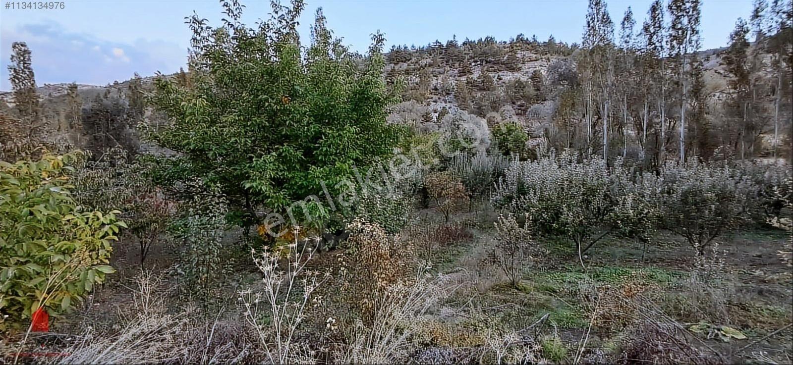 Başarakavak'ta Dere Kenarı 1120m2 Satılık Meyve Bahçesi — fotoğraf 22