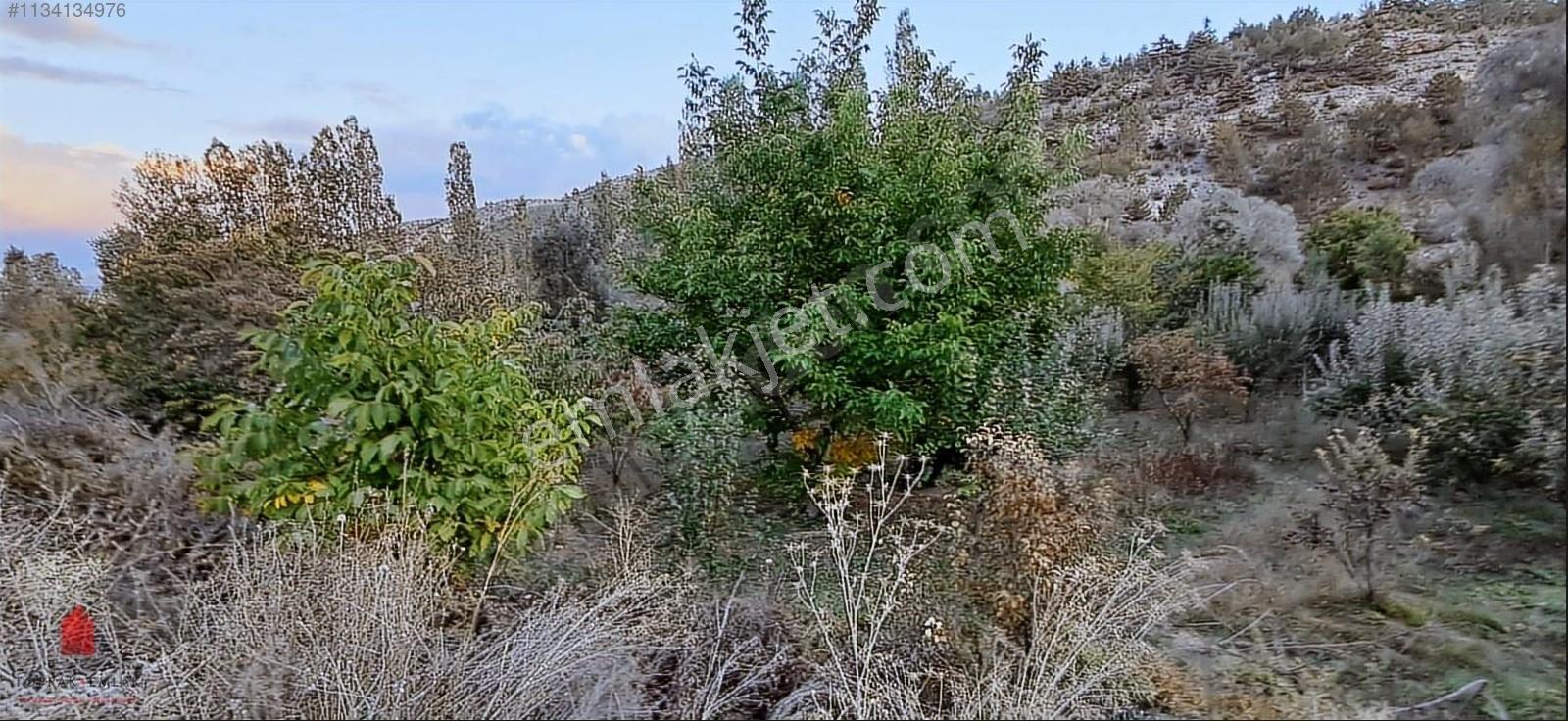 Başarakavak'ta Dere Kenarı 1120m2 Satılık Meyve Bahçesi — fotoğraf 23