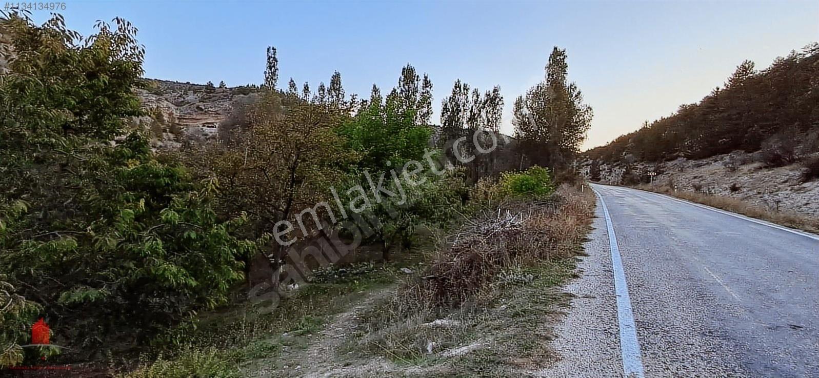 Başarakavak'ta Dere Kenarı 1120m2 Satılık Meyve Bahçesi — fotoğraf 24