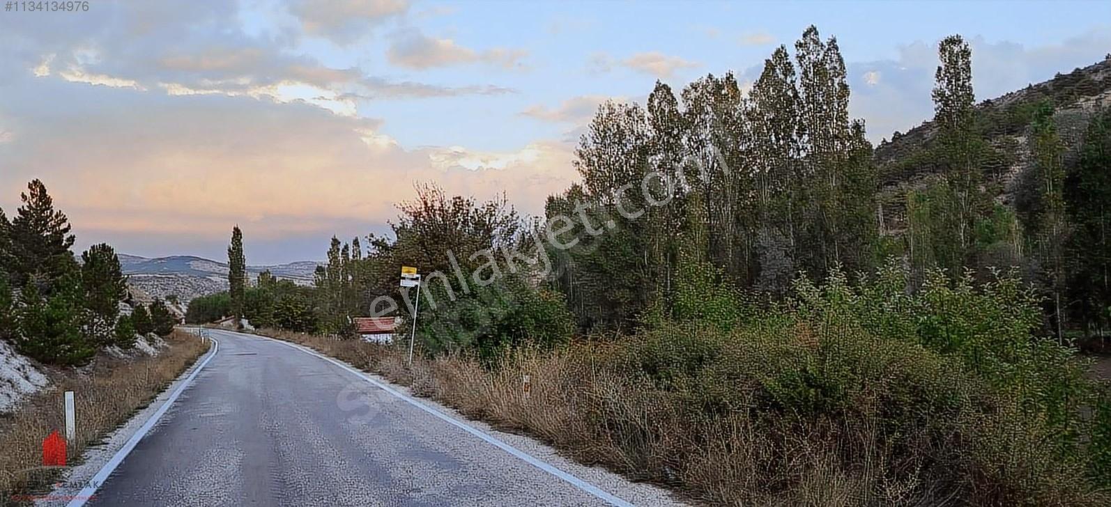 Başarakavak'ta Dere Kenarı 1120m2 Satılık Meyve Bahçesi — fotoğraf 25