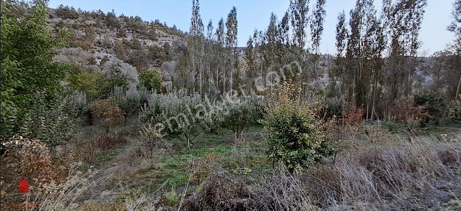 Başarakavak'ta Dere Kenarı 1120m2 Satılık Meyve Bahçesi — fotoğraf 27