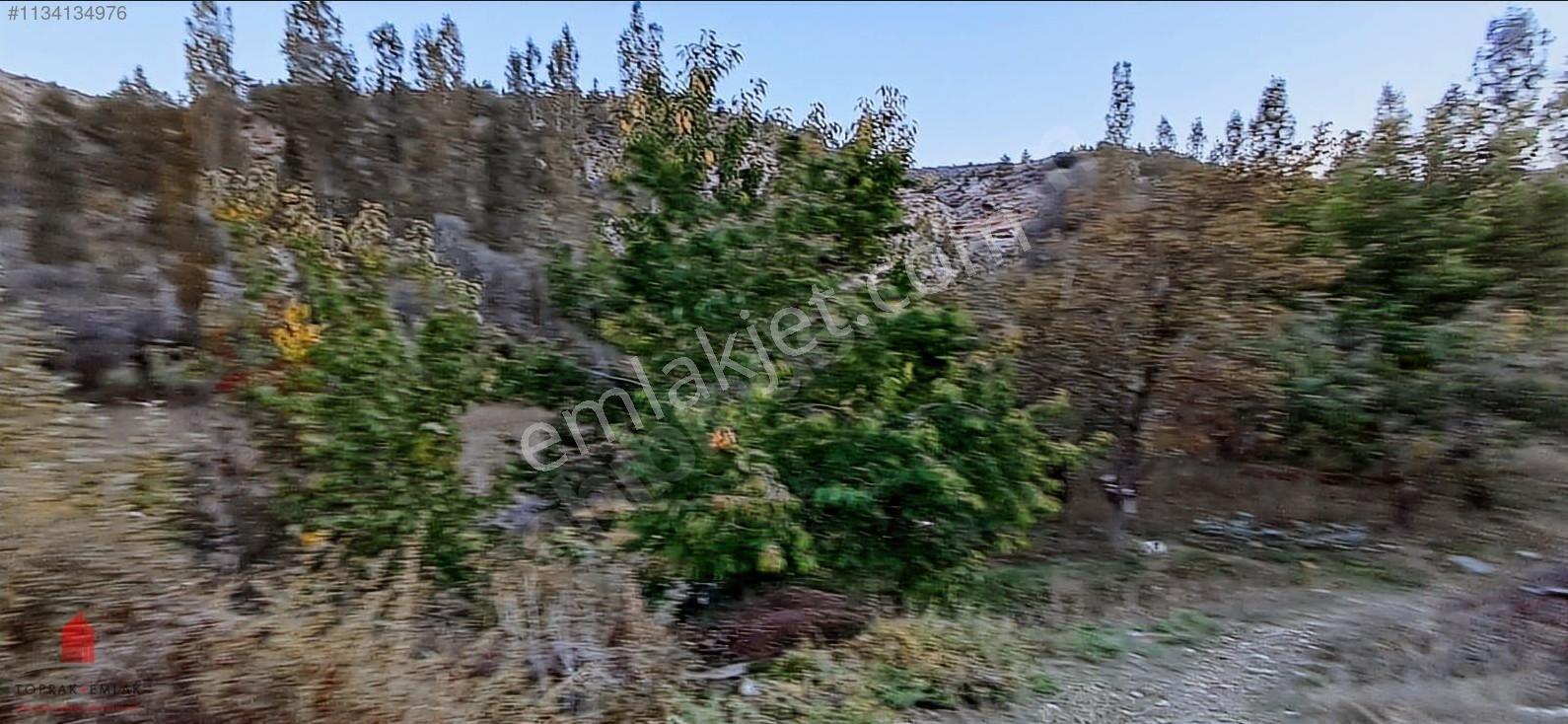 Başarakavak'ta Dere Kenarı 1120m2 Satılık Meyve Bahçesi — fotoğraf 28