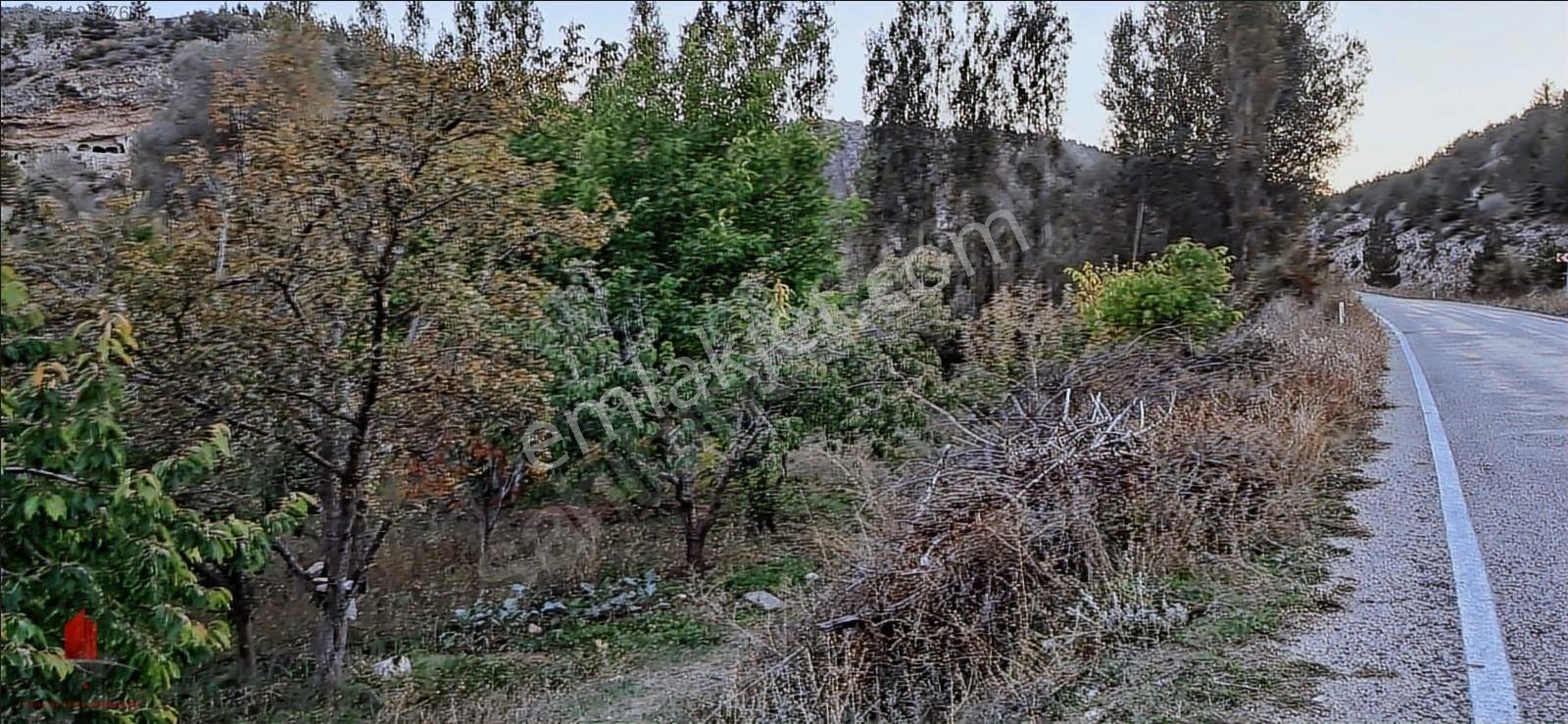 Başarakavak'ta Dere Kenarı 1120m2 Satılık Meyve Bahçesi — fotoğraf 29