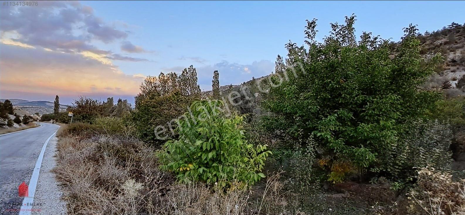 Başarakavak'ta Dere Kenarı 1120m2 Satılık Meyve Bahçesi — fotoğraf 31
