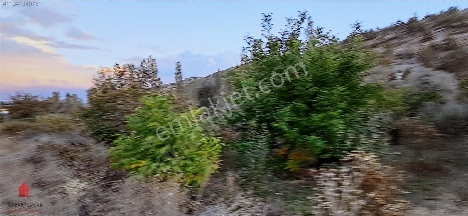 Başarakavak'ta Dere Kenarı 1120m2 Satılık Meyve Bahçesi — fotoğraf 32