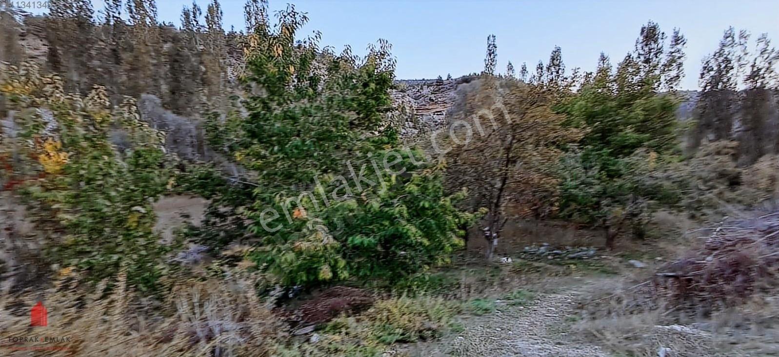 Başarakavak'ta Dere Kenarı 1120m2 Satılık Meyve Bahçesi — fotoğraf 33