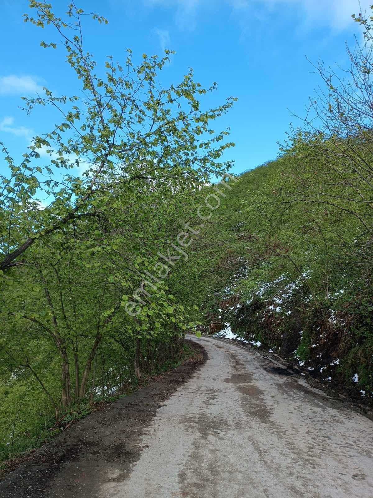 Mağmat'ta Satılık Arazi — fotoğraf 4