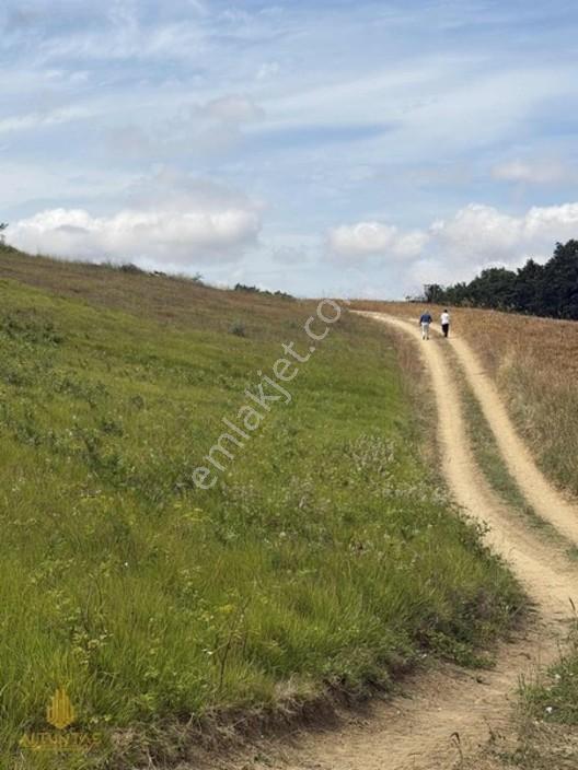 Kandıra Karlı'da Yola Yakın Satılık Tarla — fotoğraf 4