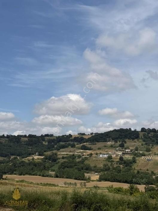 Kandıra Karlı'da Yola Yakın Satılık Tarla — fotoğraf 6