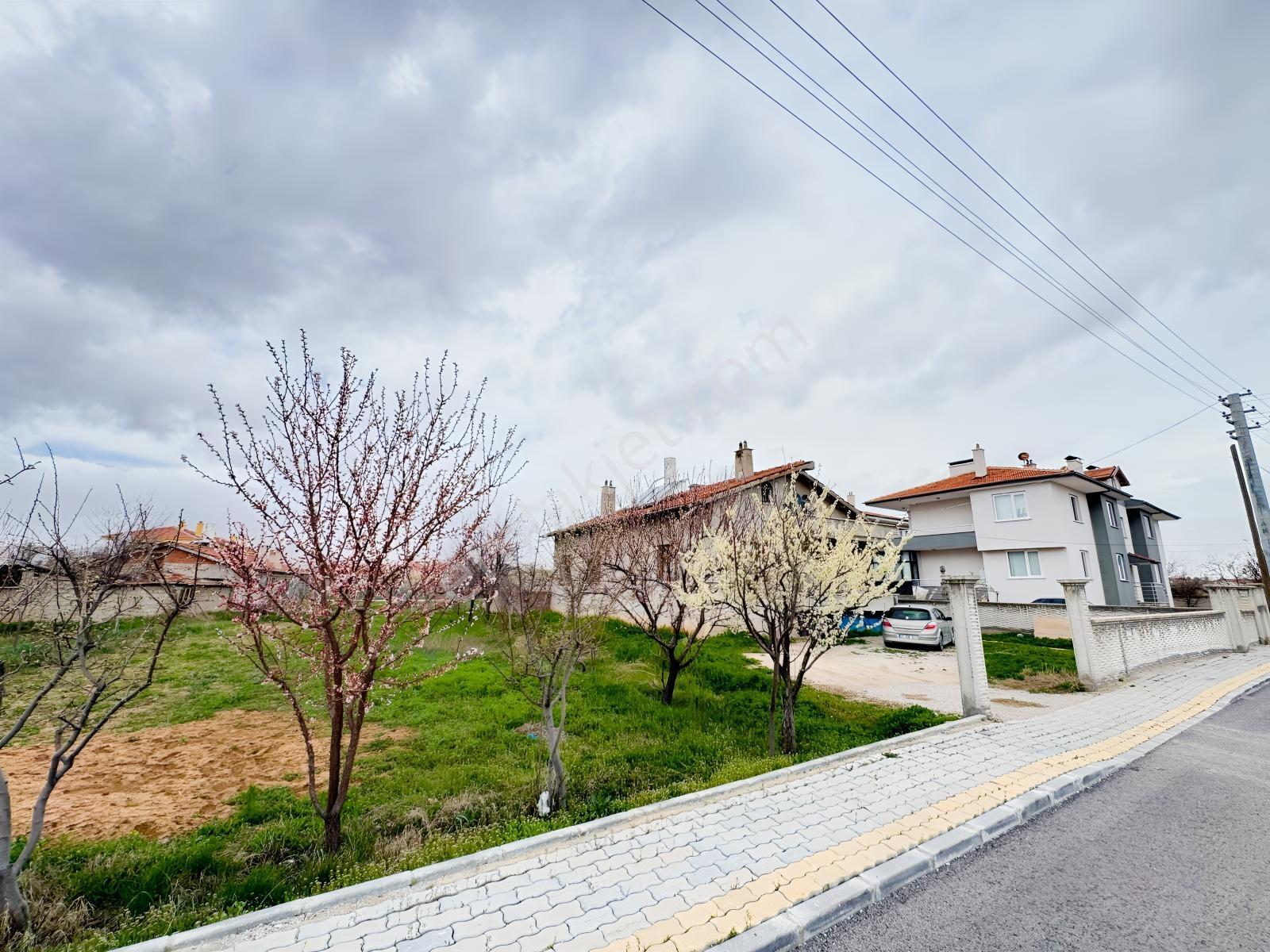 Harmancık'ta Önü Açık Yeşil Alan Manzaralı 593 M² Villa Arsası — fotoğraf 2