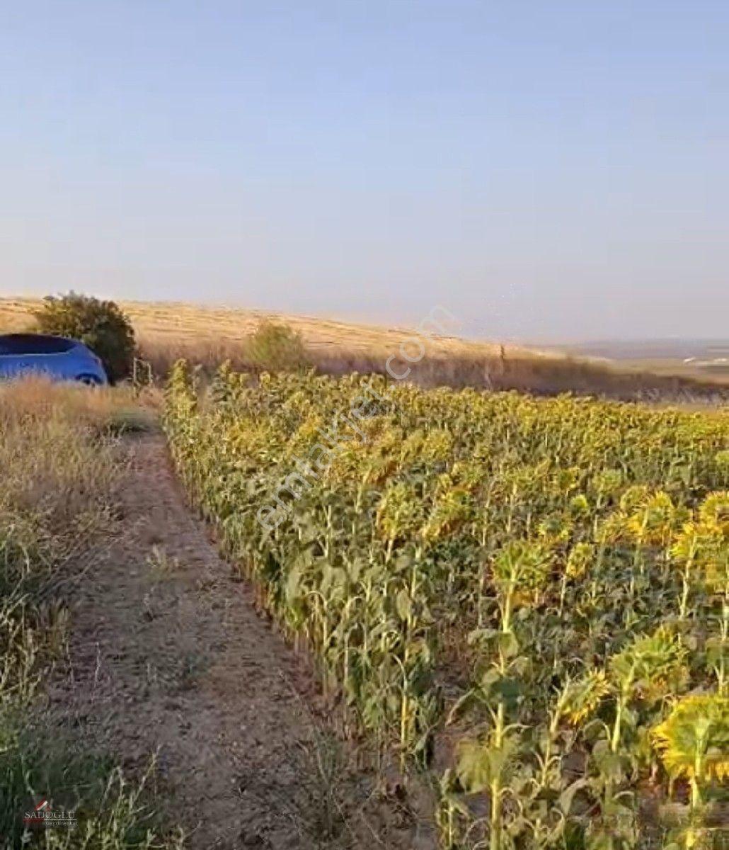 Koyunbaba'Da 1.200 M2 Satılık