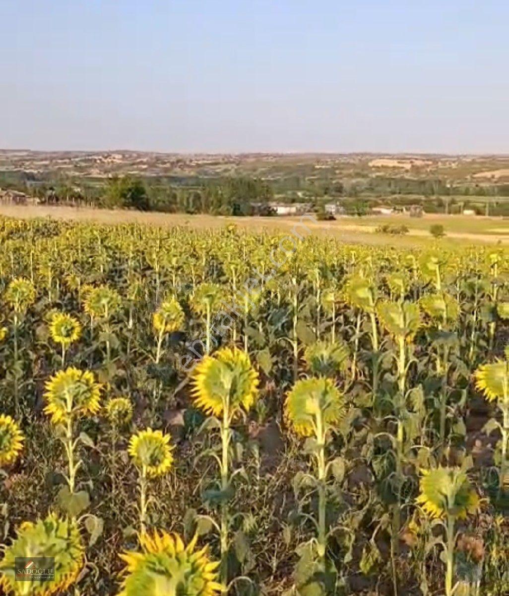 Koyunbaba'da 1.200 M2 Satılık — fotoğraf 3