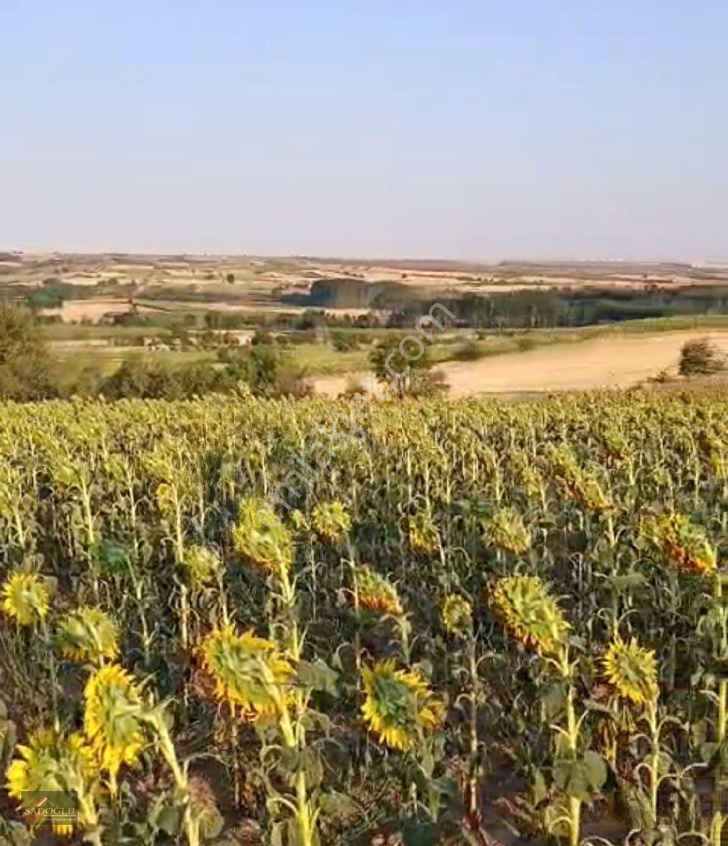 Koyunbaba'da 1.200 M2 Satılık — fotoğraf 4