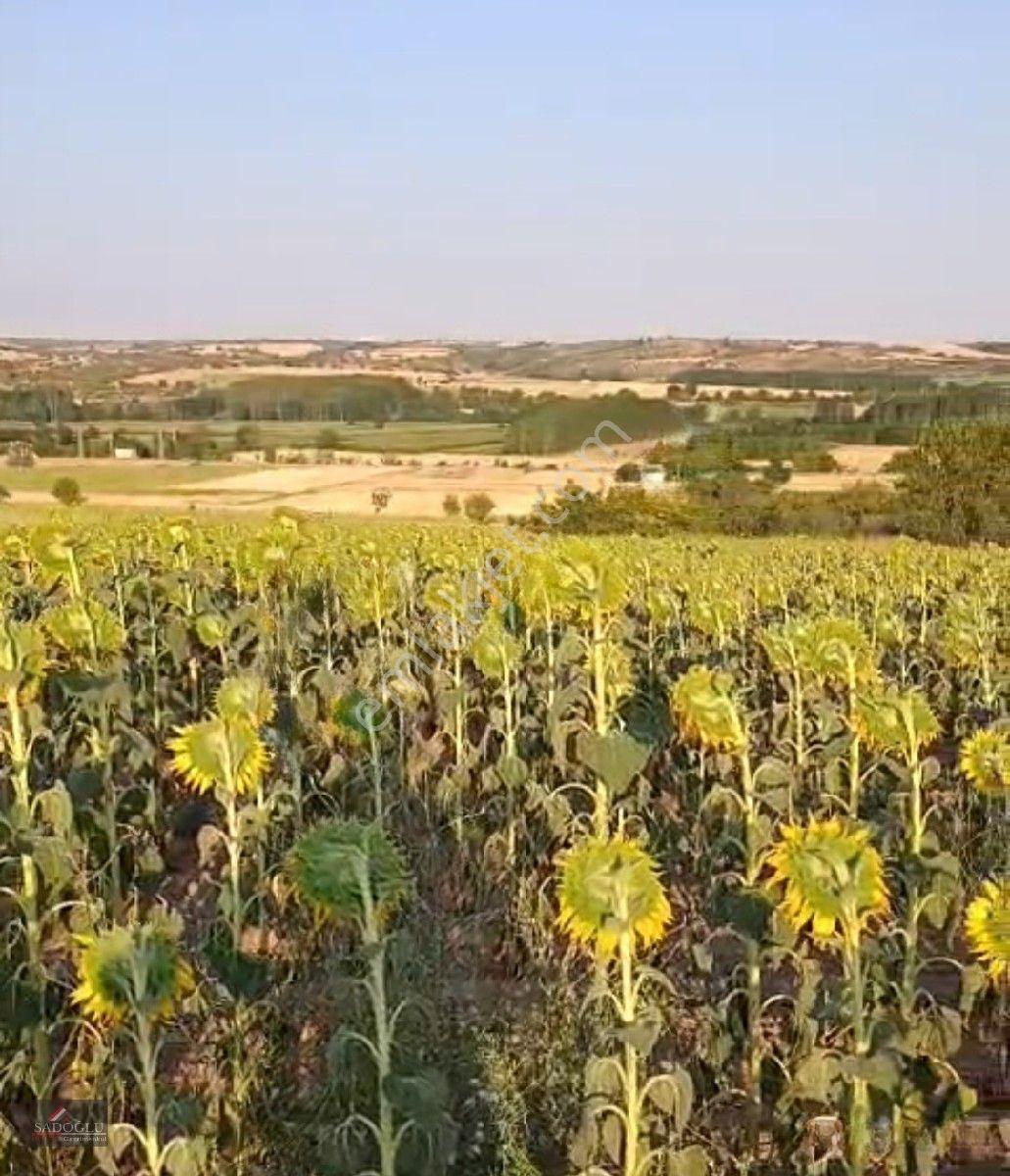 Koyunbaba'da 1.200 M2 Satılık — fotoğraf 5