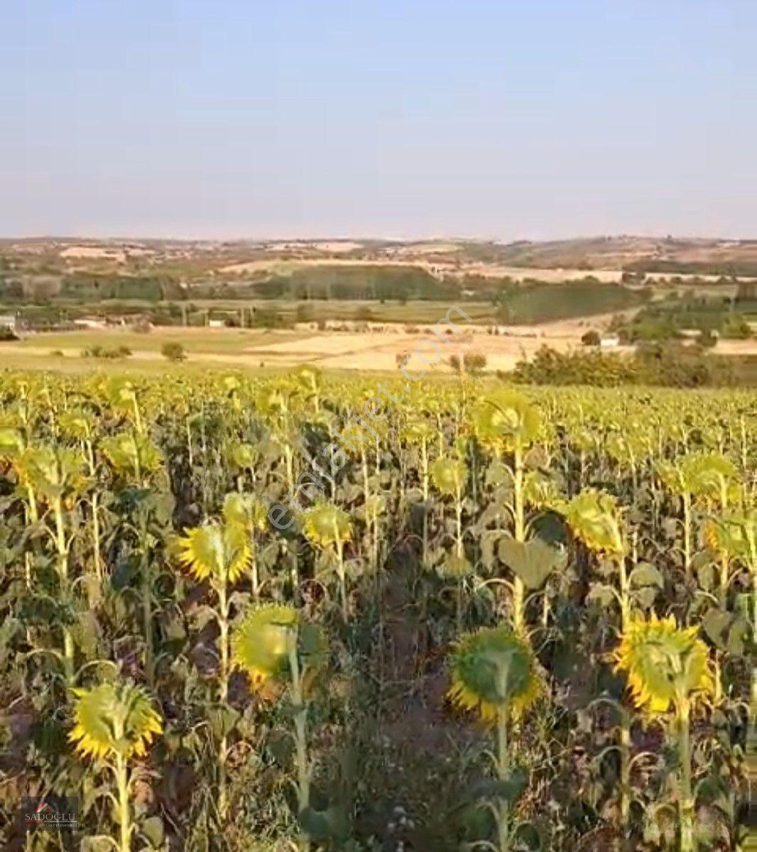Koyunbaba'da 1.200 M2 Satılık — fotoğraf 6