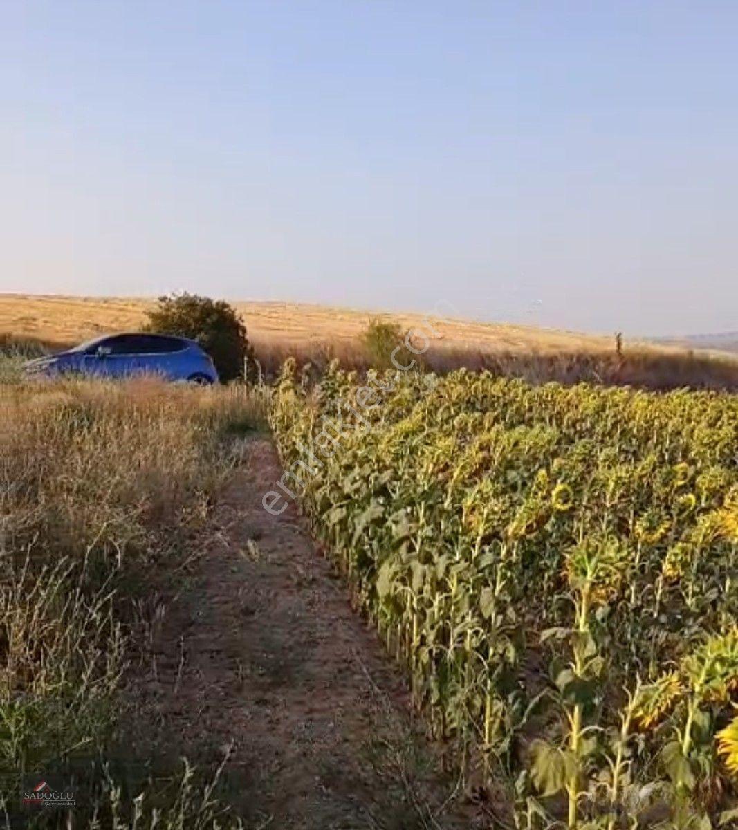 Koyunbaba'da 1.200 M2 Satılık — fotoğraf 7
