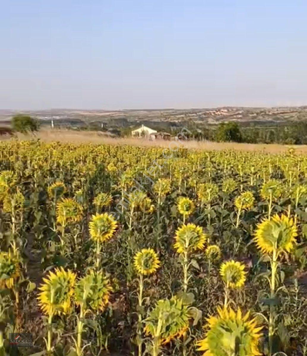 Koyunbaba'da 1.200 M2 Satılık — fotoğraf 8