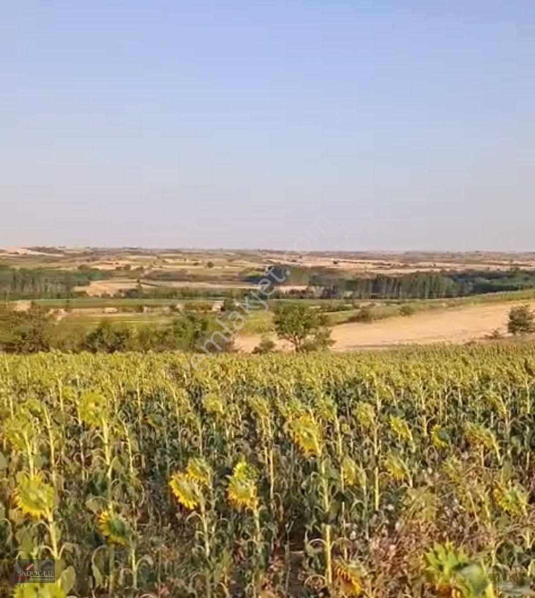 Koyunbaba'da 1.200 M2 Satılık — fotoğraf 9