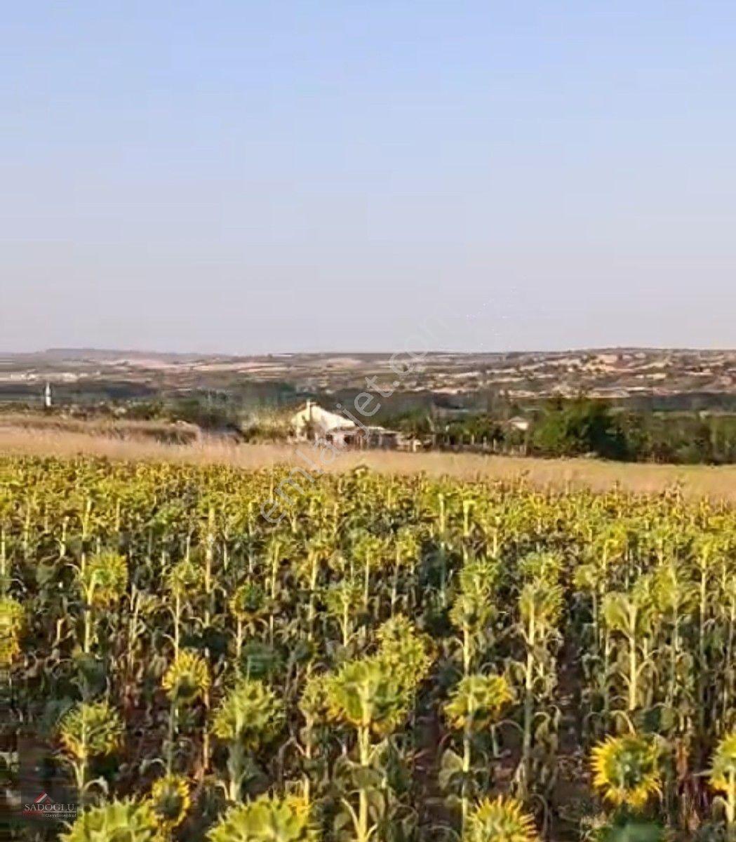 Koyunbaba'da 1.200 M2 Satılık — fotoğraf 11