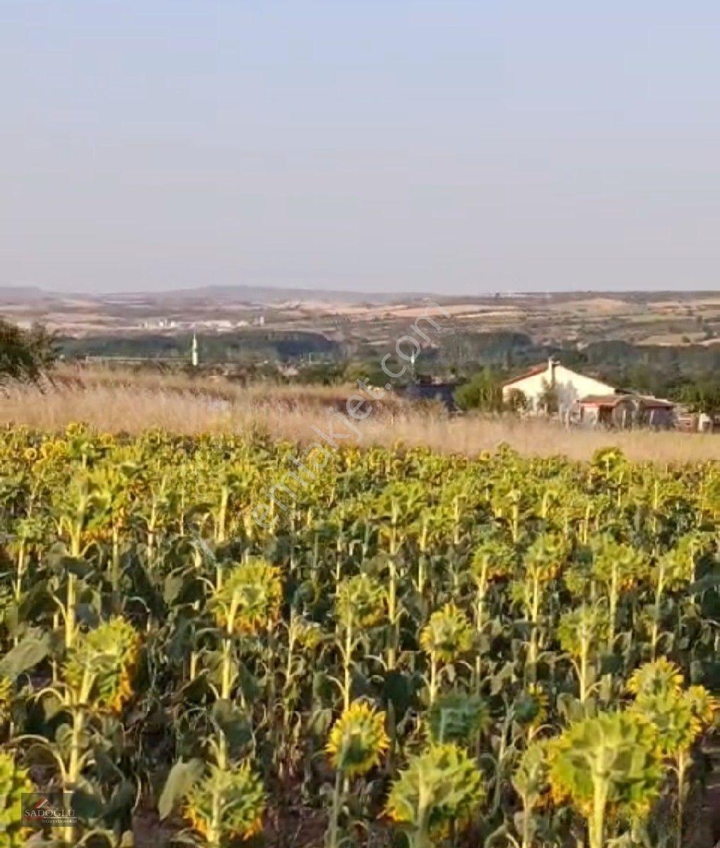 Koyunbaba'da 1.200 M2 Satılık — fotoğraf 12