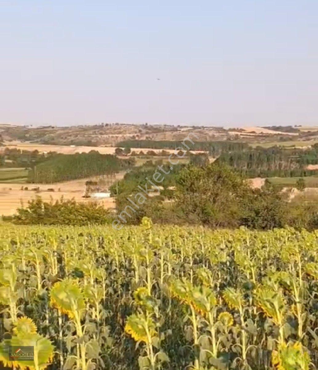 Koyunbaba'da 1.200 M2 Satılık — fotoğraf 13