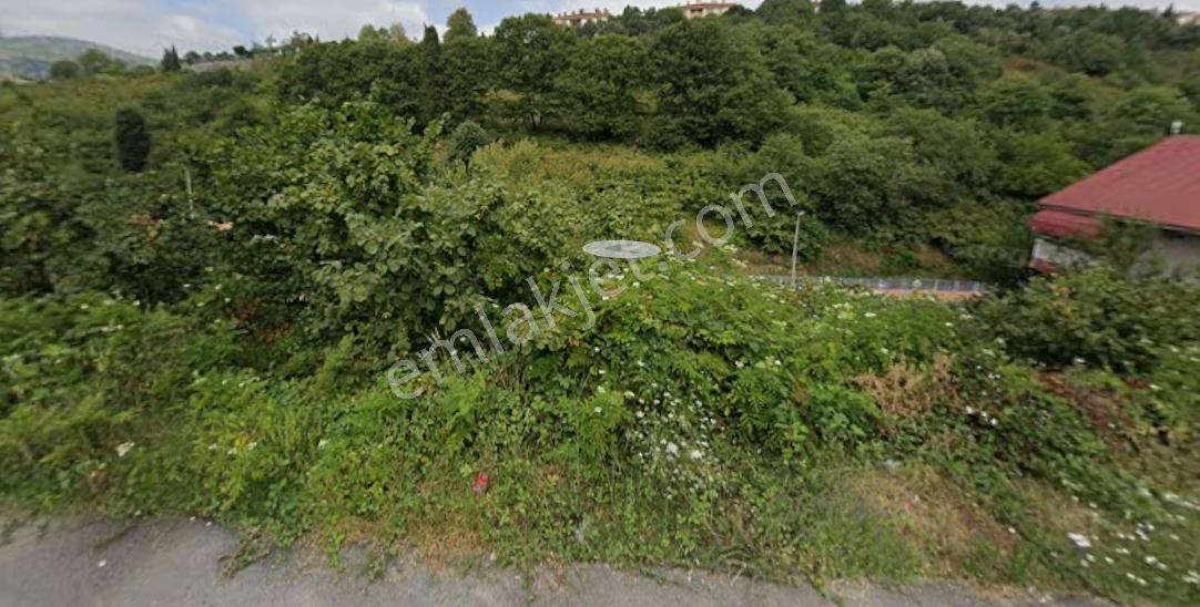 Gölcük Yeni Mahalle'de 3 Kat Konut İmarlı 384 M²arsa | 0.90 Kaks — fotoğraf 5
