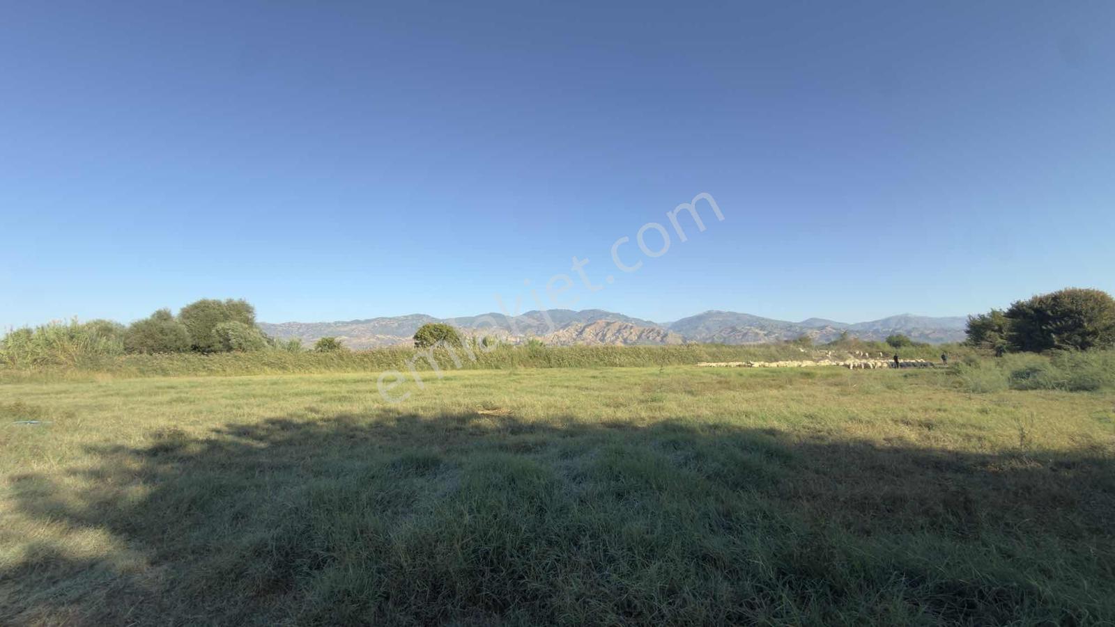 Takasa Açık |aydın Efeler Serçeköyde 5.900 M² Yola Cepheli | — fotoğraf 2