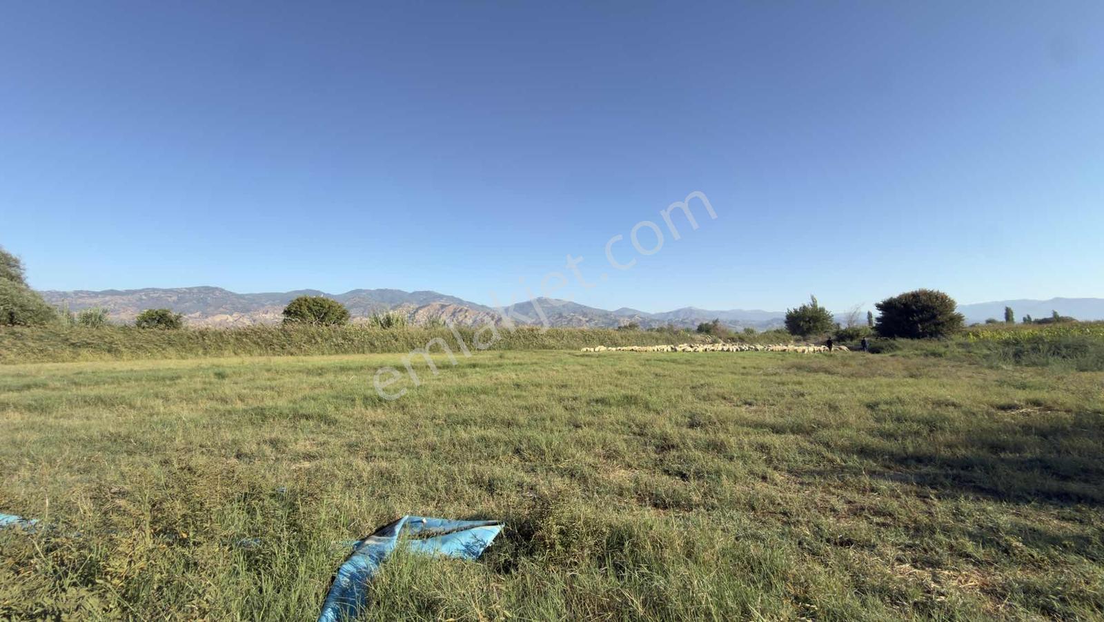Takasa Açık |aydın Efeler Serçeköyde 5.900 M² Yola Cepheli | — fotoğraf 3