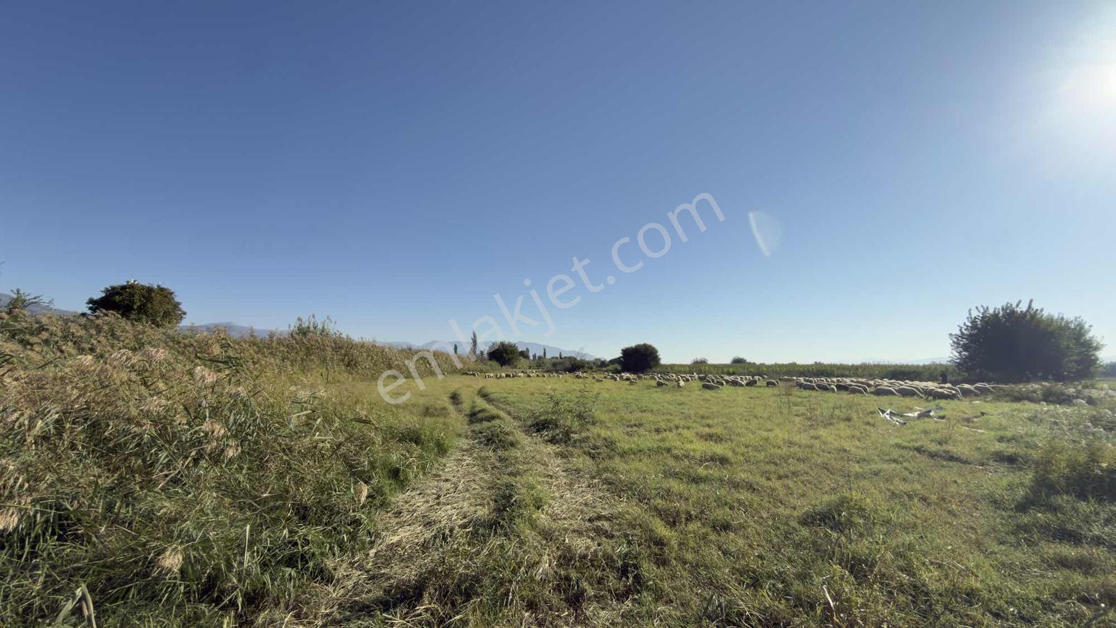 Takasa Açık |aydın Efeler Serçeköyde 5.900 M² Yola Cepheli | — fotoğraf 4