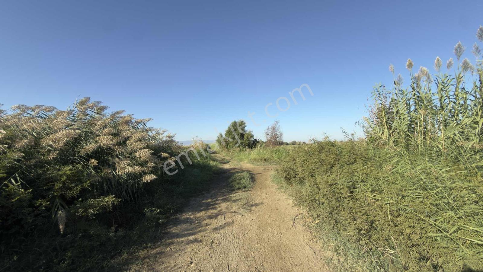 Takasa Açık |aydın Efeler Serçeköyde 5.900 M² Yola Cepheli | — fotoğraf 5