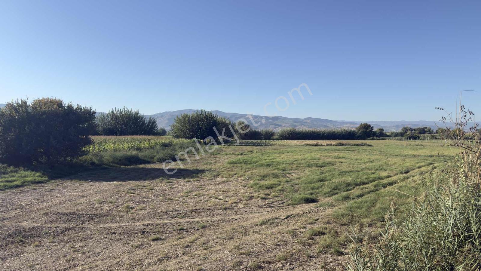 Takasa Açık |aydın Efeler Serçeköyde 5.900 M² Yola Cepheli | — fotoğraf 6