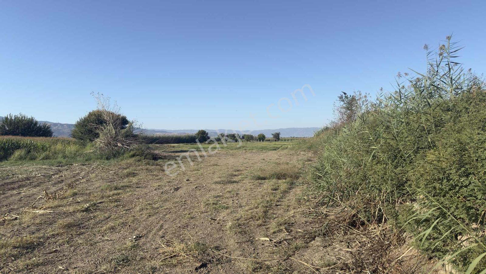 Takasa Açık |aydın Efeler Serçeköyde 5.900 M² Yola Cepheli | — fotoğraf 7