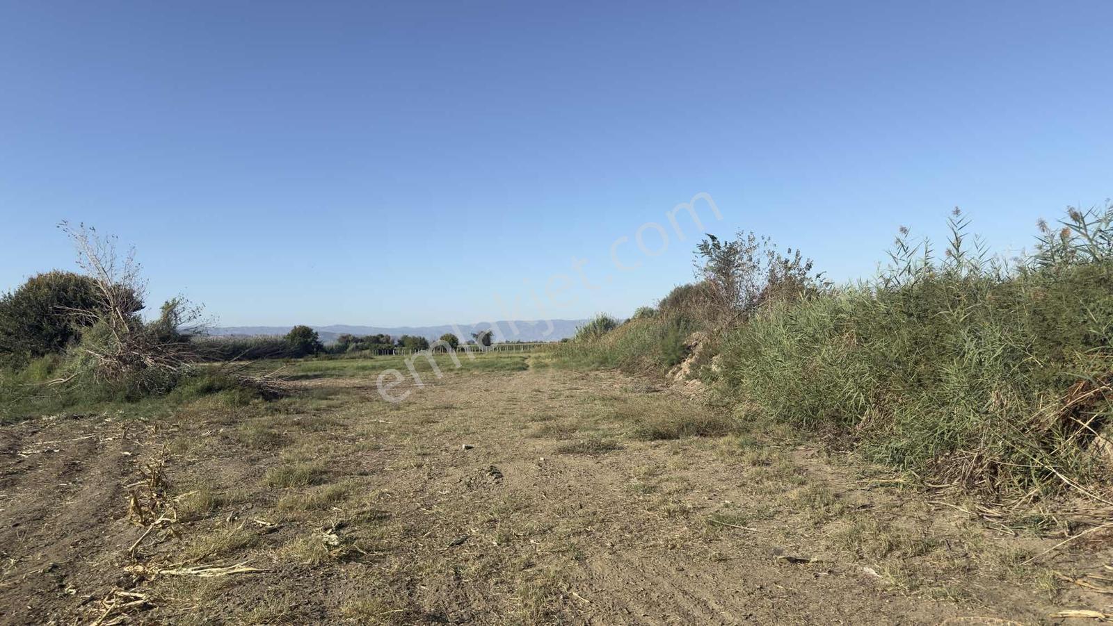 Takasa Açık |aydın Efeler Serçeköyde 5.900 M² Yola Cepheli | — fotoğraf 8