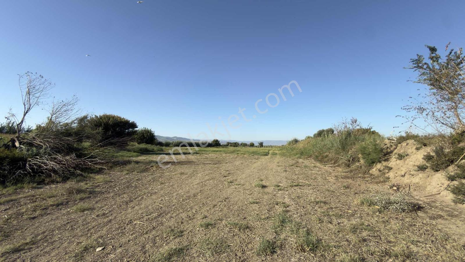 Takasa Açık |aydın Efeler Serçeköyde 5.900 M² Yola Cepheli | — fotoğraf 9