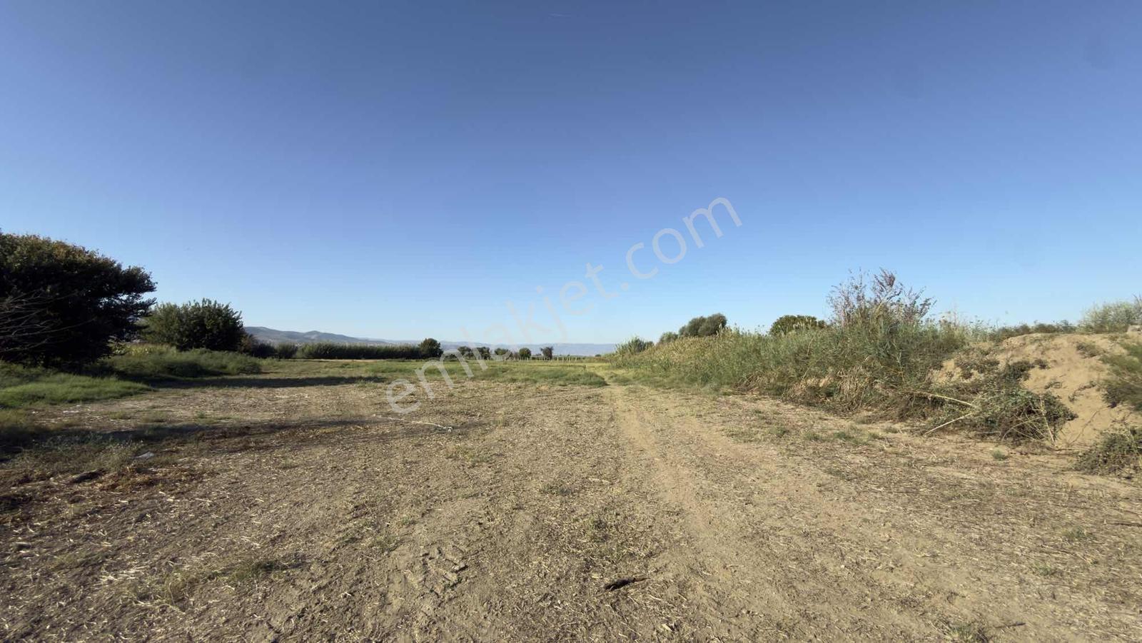 Takasa Açık |aydın Efeler Serçeköyde 5.900 M² Yola Cepheli | — fotoğraf 10