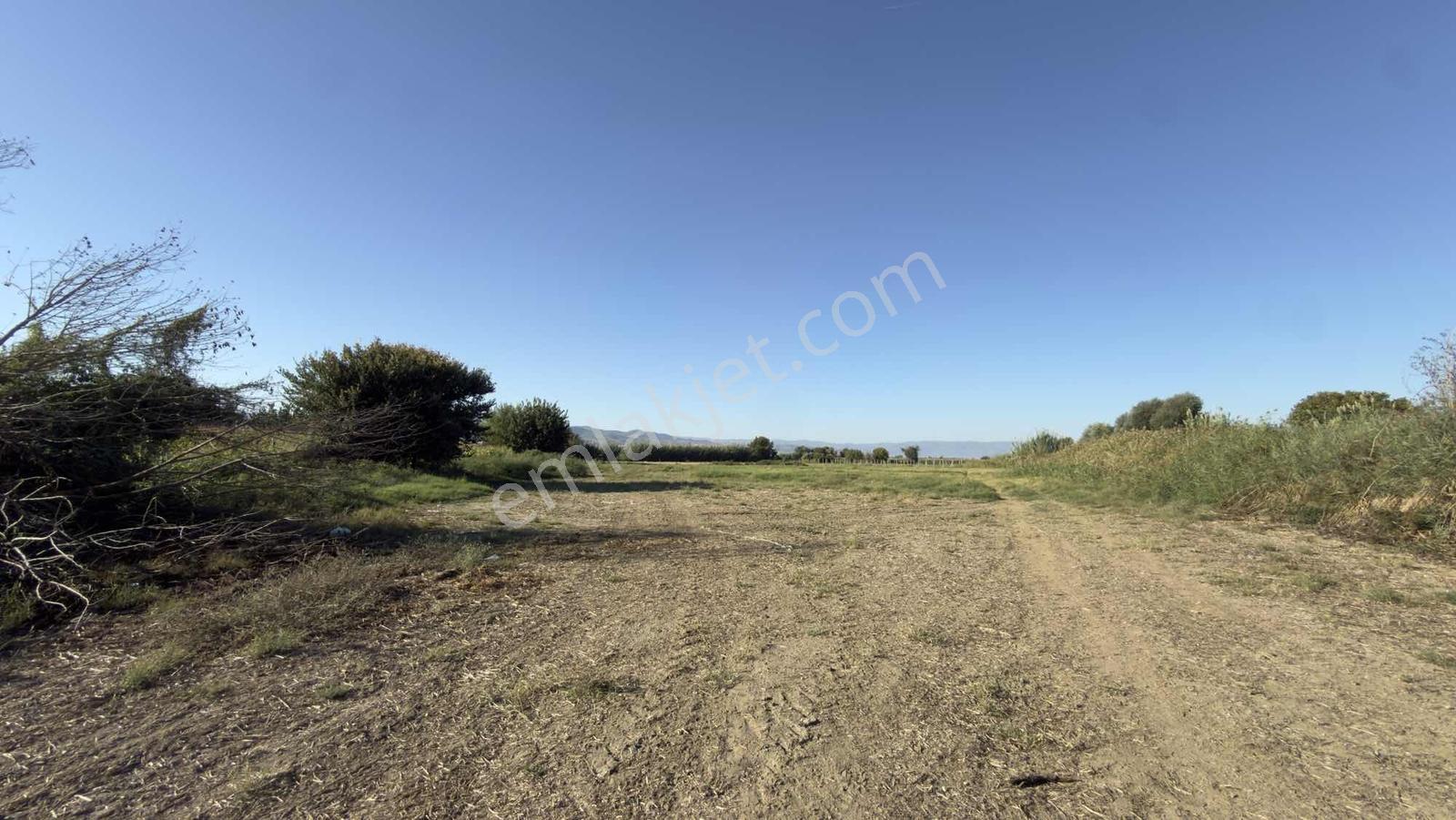 Takasa Açık |aydın Efeler Serçeköyde 5.900 M² Yola Cepheli | — fotoğraf 11