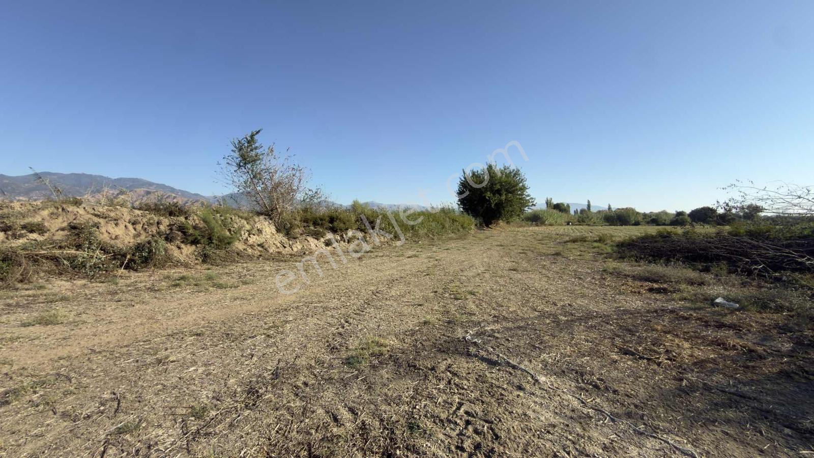 Takasa Açık |aydın Efeler Serçeköyde 5.900 M² Yola Cepheli | — fotoğraf 12