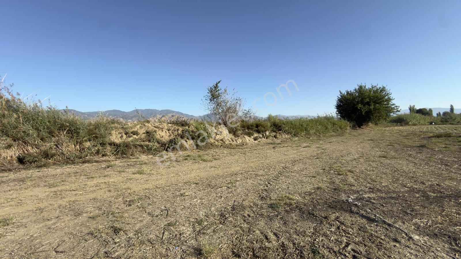 Takasa Açık |aydın Efeler Serçeköyde 5.900 M² Yola Cepheli | — fotoğraf 13