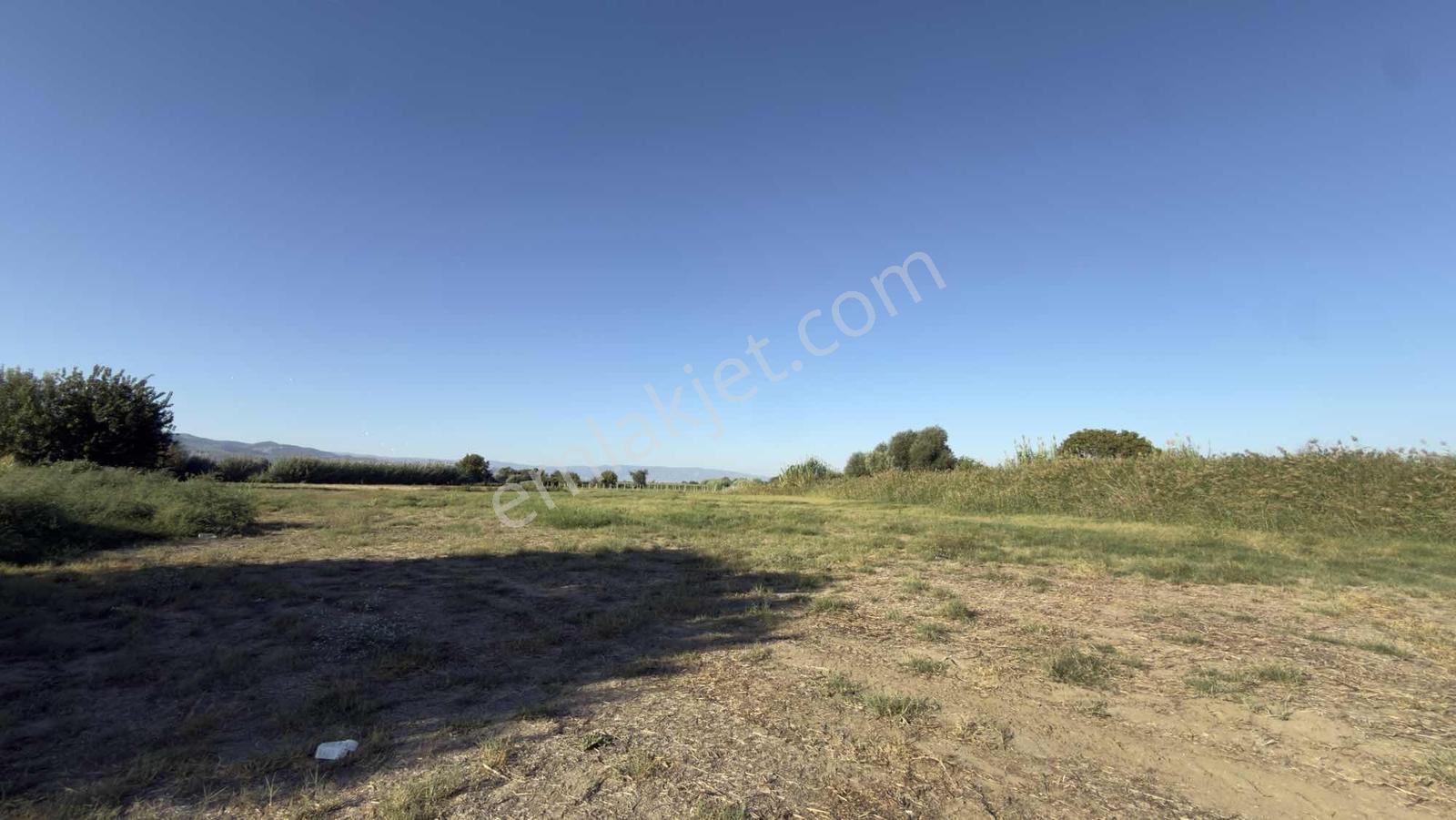 Takasa Açık |aydın Efeler Serçeköyde 5.900 M² Yola Cepheli | — fotoğraf 14