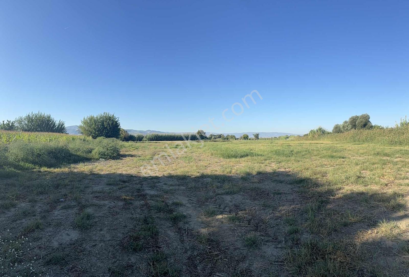 Takasa Açık |aydın Efeler Serçeköyde 5.900 M² Yola Cepheli | — fotoğraf 16