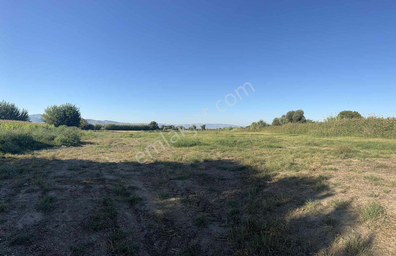 Takasa Açık |aydın Efeler Serçeköyde 5.900 M² Yola Cepheli | — fotoğraf 18